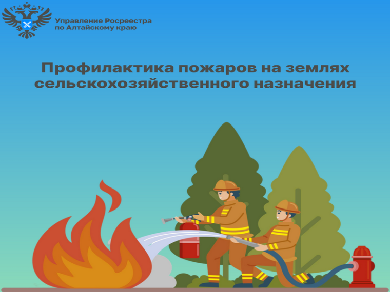 Профилактика пожаров на землях сельскохозяйственного назначения. Профилактика пожаров на землях сельскохозяйственного назначения.
